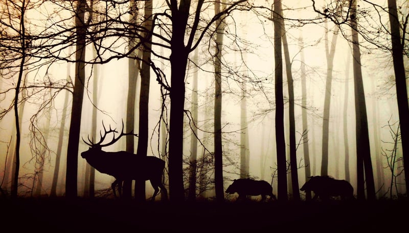 Silent Watchers